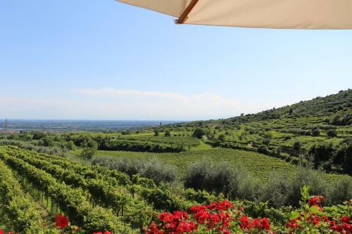 Agroturismo Corte Spinosa