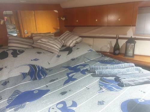 Fairline Targa 43