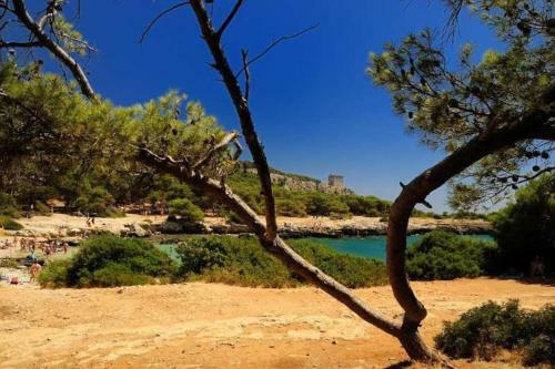 Apartamento Cottage A 5 Minuti Dal Mare