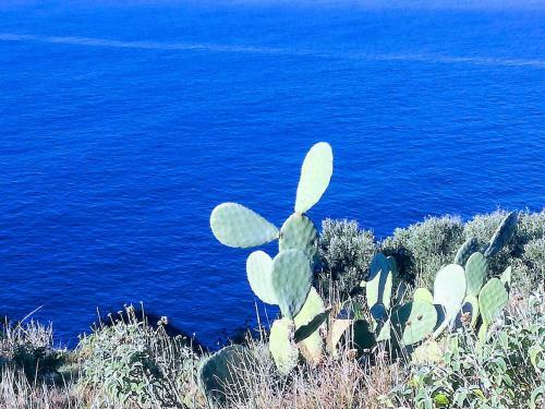 Apartamento Villa Martina