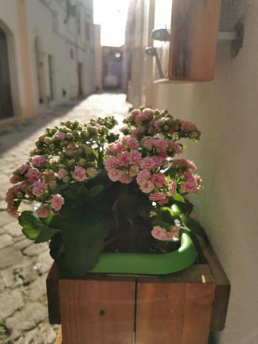 Apartamento Home Sweet Home