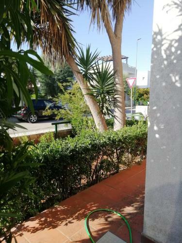 Apartamento Casanguria