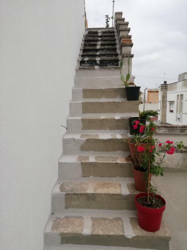 Apartamento Salento Nard� Casa Dell'airone