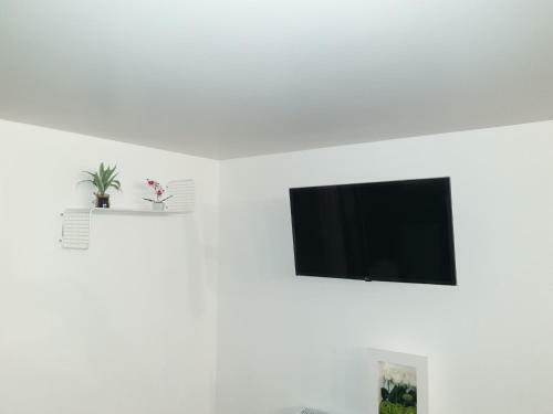 Relax City Apartments
