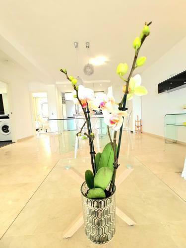 Sunrise Sea Views Eco Apartment With Swimming Pool