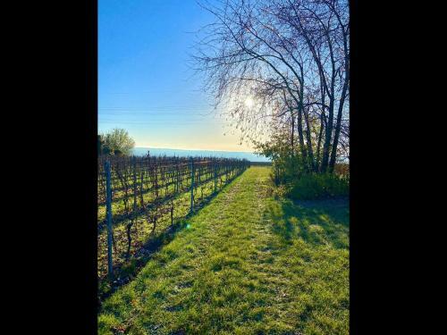 Apartamento Ferienwohnung Rheingau
