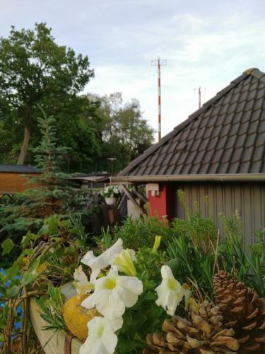 Backstage Apartment Kiel-holtenau