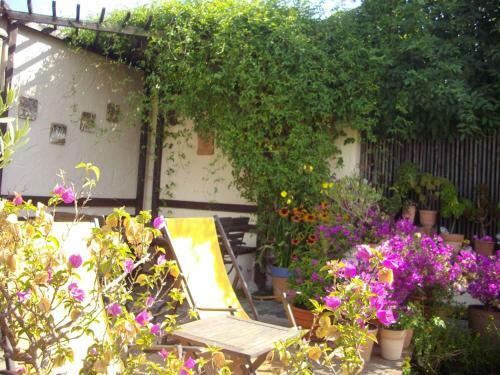 Apartamentos Ferienwohnung Bl�tentraum