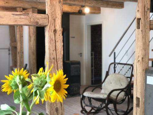 Apartamento Ferienhaus Paradiso