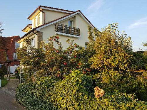 Hostal Pension Walmeer
