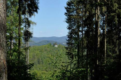 Apartamentos Rothaarsteig Ferienhaus