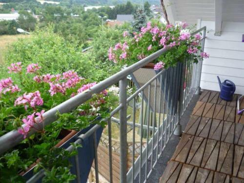 Apartamentos G�stehaus Rosengarten Im Nahetal