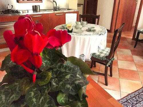 Apartamento Salvator Rosa House