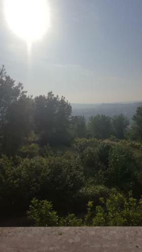 Bed & Breakfast Villa Spina