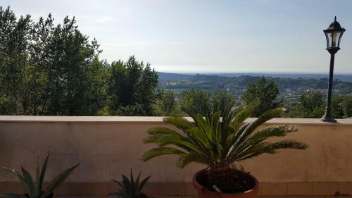 Bed & Breakfast Villa Spina