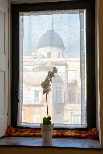 Apartamento Le Rondini Della Pietrasanta