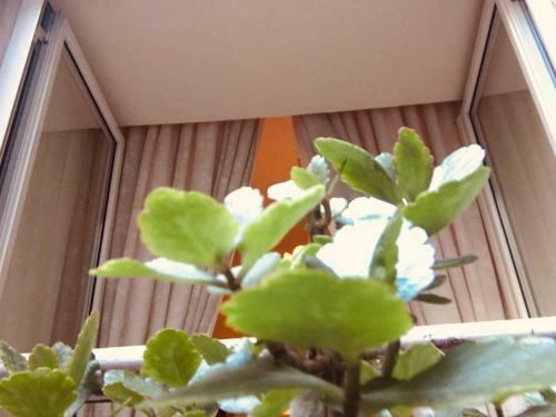 Hostal B&B Alloggio Maria