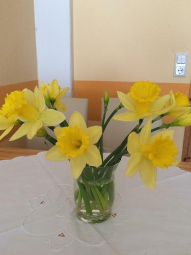 Apartamento Ferienwohnung G�rth