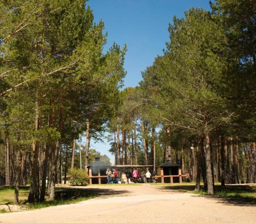 Camping Urbion