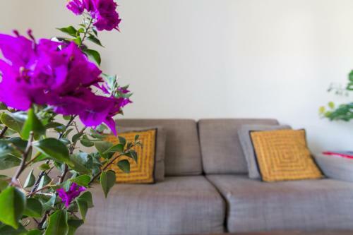 Aparthotel Bitacora