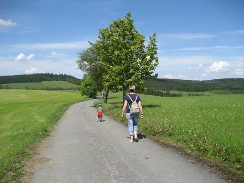 Hostal Pension Hampel