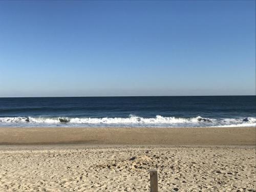 Paradise On The Bay