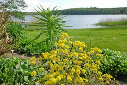 Row Bungalows Am Gro� Labenzer See, Klein Labenz