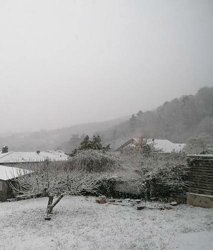 Apartamento Ferienwohnung Burg Landeckblick