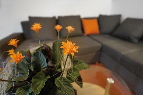 Apartamento Domizil Aschbergblick