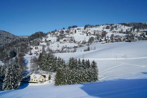 Apartamento Domizil Aschbergblick