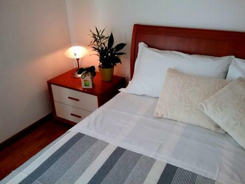Apartamento Appartamento Ai Tigli