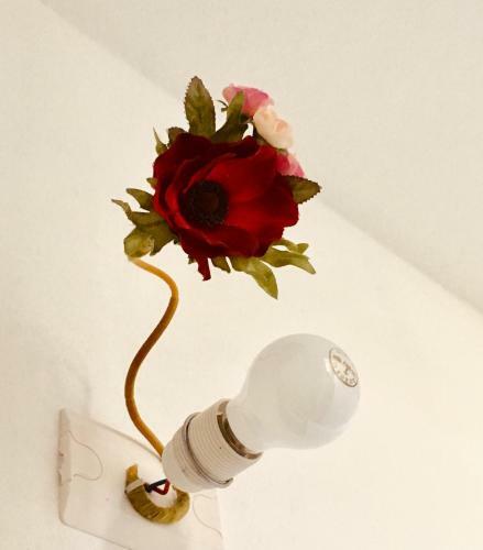 Hostal Ca Di Cel�