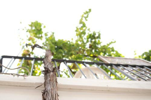 Hostal Palazzo Pace