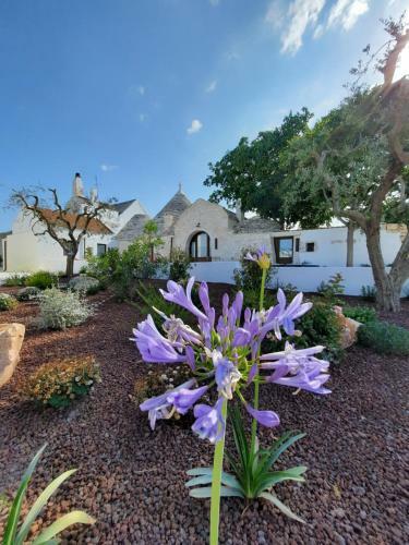 Apartamento Borgo Santamarta
