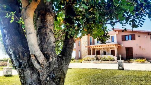 Bed & Breakfast Prima Luce