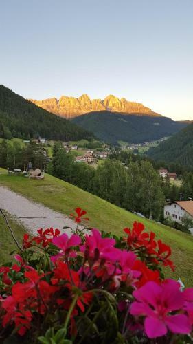 Agroturismo Kellnerhof