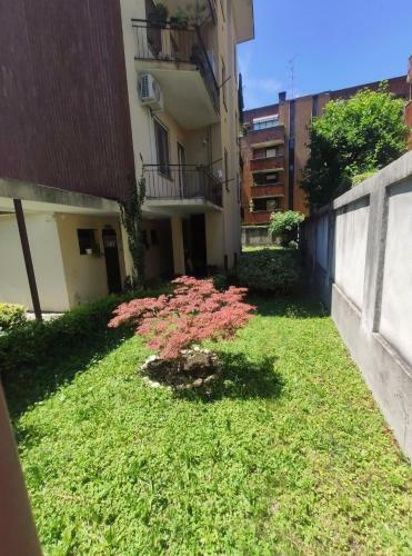 Apartamento Appartamento C&y Torelli 1