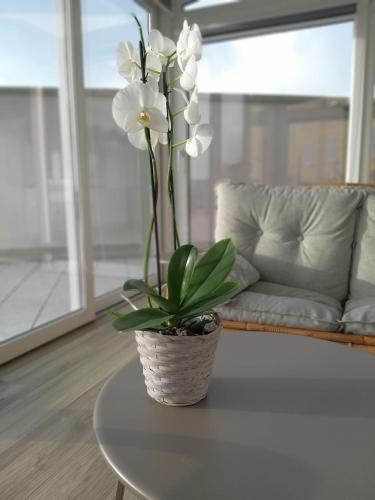 Apartamento La Magia Delle Langhe