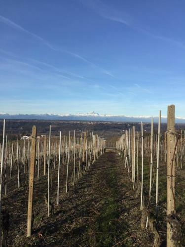 Apartamento Appartamento Nelle Langhe