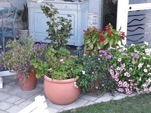 B&B San Valerio
