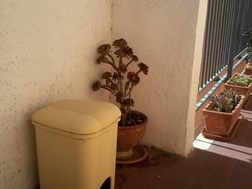 Bed & Breakfast Da Tore
