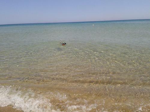 Profumo Di Mare Fronte Spiaggia