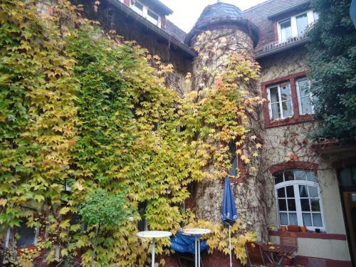 Hostal Hotel Burg-stuben