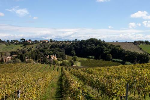 Bed & Breakfast Borgo Del Gelso