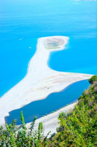 Sea Elegance