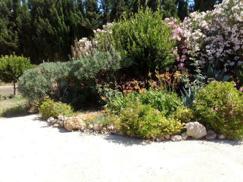 Apartamento Il Giardino Delle Rose A