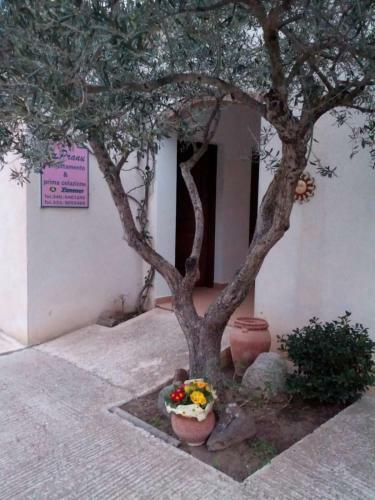 Hostal Su Pranu