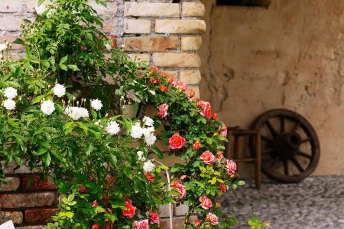 Bed & Breakfast Villa Maraldo 1927