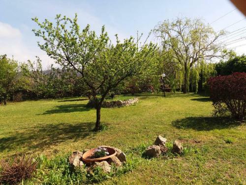 Bed & Breakfast Capolinea Al Mare