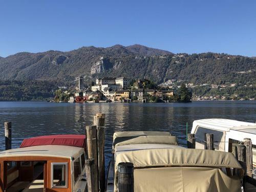 Orta Lake Gippina Jr